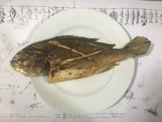 Çipura